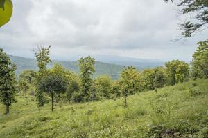 Scenic landscape of green hill view when cloudy sky after rain, Spring season East Java. The photo is suitable to use for nature background, holiday content social media and hill view poster.