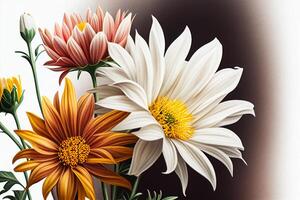 Colorful autumn flowers on a dark background. illustration photo