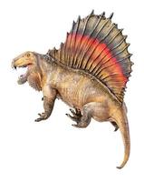 dinosaur ,  Dimetrodon   isolated background photo