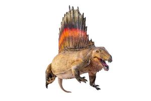 dinosaur ,  Dimetrodon   isolated background photo