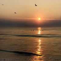 Morning in the sea photo