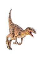 dinosaur , Velociraptor  isolated background photo