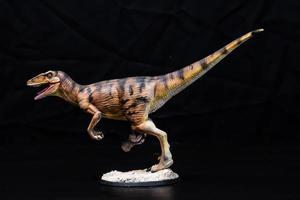 The Velociraptor  dinosaur  in the dark photo