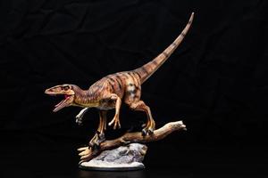 The Velociraptor  dinosaur  in the dark photo