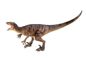 dinosaur , Velociraptor  isolated background photo