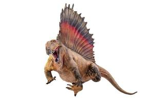 dinosaur ,  Dimetrodon   isolated background photo