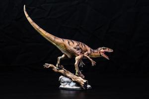 The Velociraptor  dinosaur  in the dark photo