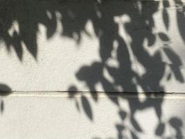 Leaves shadow background on concrete wall texture, leaves tree branches shade with sunlight photo