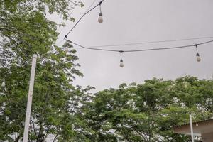 Day lamp is hanging on the big tree for cafe light. The photo is suitable to use for electricity background, environment poster and nature content.