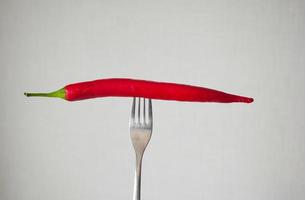 red chili pepper on the fork on white background . photo