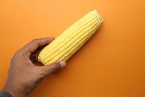 corn cob on white background close up photo