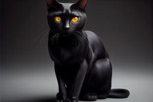 negro gato apreciación día agosto 17 ai generado foto