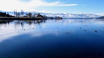 snow mountain lake and bridge, blue sky with black birds in water video