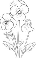 purple pansies drawing, outline pansy flower drawing  vintage pansy drawing, coloring page vector sketch hand-drawn illustrations, and beautiful element.