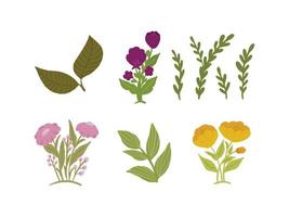 Hand drawn spring flower collection Vector Illustration