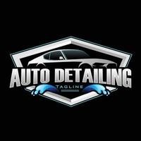 Illustration vector graphic of auto detailing serves logo design template