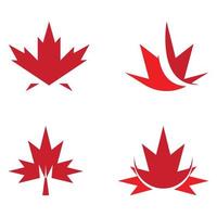 Maple leaf vector illustration