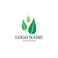 logotipos de la ecología de la hoja del árbol verde vector