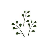 verde natural moringa hoja logo modelo aislado en blanco antecedentes. vector
