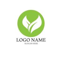 Green leaf Logo and symbol vector