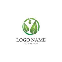 logotipos de la ecología de la hoja del árbol verde vector