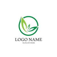 logotipos de la ecología de la hoja del árbol verde vector