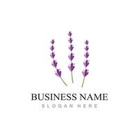 fresh lavender flower logo flat design template vector