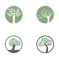 tree logo design with template vector concept