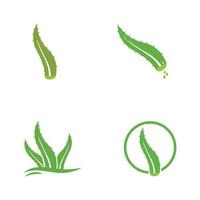 aloe vera logo design vector illustration template