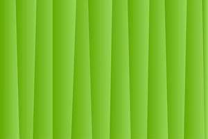 illustration green vertical stripe line. banana leaf texture background. Abstract Green Lines Background photo