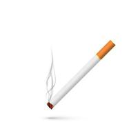 Cigarette with smoke in realistic style. Vector illustration isolated on white background