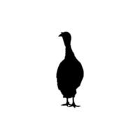 Turkey Silhouette for Art Illustration, Pictogram or Graphic Design Element. The Turkey is a large bird in the genus Meleagris. Vector Illustration