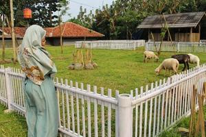 A mother and her child are looking at a herd of goats at a natural tourist spot. photo