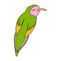 Colorful Illustration of Exotic Bird vector