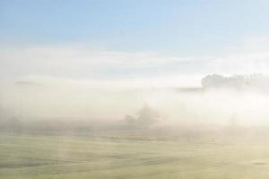 Morning Fog on Green Landscape photo