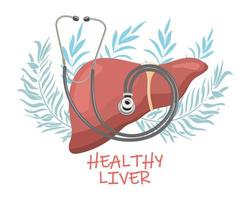 Healthy liver with a stethoscope on the background of leaves and flowers. Medicine concept, digestive system. Vector