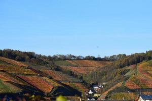 otoño de colores viñedos en ahr Valle foto