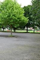 Parking Lot with Green Trees photo