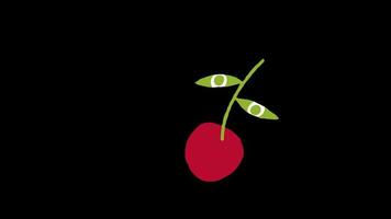 cherry with leaf icon loop Animation video transparent background with alpha channel.
