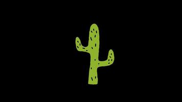 cactus plant icon loop Animation video transparent background with alpha channel.