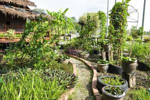 Shed in tropical nature. A shelter surrounded by green palm trees in the jungle. photo