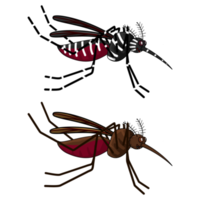 aedes und Anopheles Mücken. png