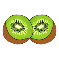 Kiwi-Fruchtscheibe png