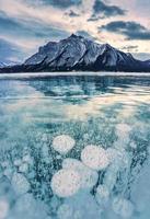 View of Abraham Lake with natural bubbles frost in the morning on winter at Banff national park photo