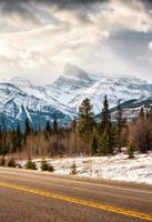 Rocky mountains in pine forest on highway at Icefields Parkway photo