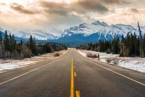 Road trip on highway between pine forest driving straight to rocky mountains in Icefields Parkway photo