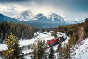 morenas curva con icónico rojo carga tren paso mediante arco Valle y rocoso montañas en invierno a banff nacional parque foto