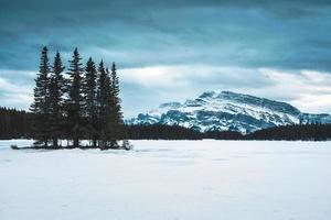 dos Jack lago con montar rundle y pino bosque en invierno en el noche a banff nacional parque foto