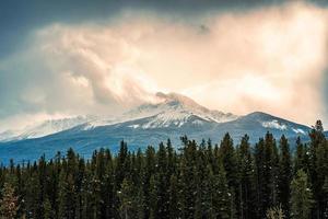 Rocky Mountains with sunlight shining in pine forest at countryside photo