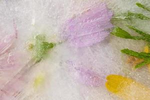 Various flowers in ice. Creative floral background. Frozen beautiful plants. photo